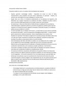 Young qué hacer con la ley y el orden