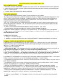 Resumen Lingüística y Discursividad Social – 2016