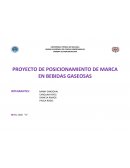PROYECTO DE POSICIONAMIENTO DE MARCA EN BEBIDAS GASEOSAS