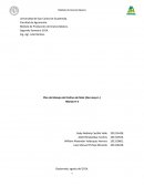 Plan de Manejo del Cultivo de Maiz (Zea mays L.)