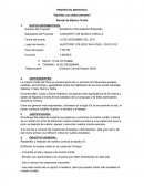 PROYECTO ARTISTICO “Sonidos con sabor peruano”