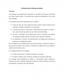 Liderazgo táctico y liderazgo estratégico