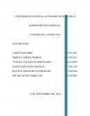 Informe de principio de proporcionalidad