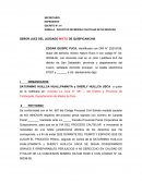 SOLICITUD DE MEDIDA CAUTELAR DE NO INNOVAR