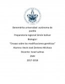 Ensayo sobre las modificaciones genéticas