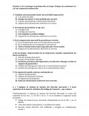 Práctica 1.16. A entregar el próximo día en Grupo Trabajo, las cuestiones 6,7 y 8 con respuestas manuscritas