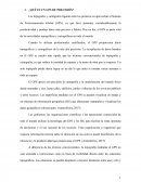 ¿Qué es un GPS de precisión?