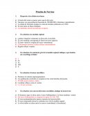 Prueba de Nervios Respecto a las células nerviosas