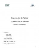 Organización de Países Exportadores de Petróleo Alcances y funcionamiento