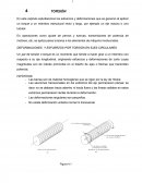 DEFORMACIONES Y ESFUERZOS POR TORSIÓN EN EJES CIRCULARES