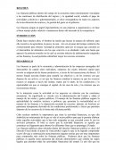 Ensayo finanzas publicas