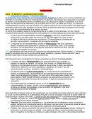 ACUMULATIVO Cap.5 El Derecho Y Los Derechos Del Hombre