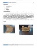 Estetica práctica Vaciado modelo inferior