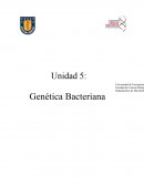 Informe: Genetica bacteriana