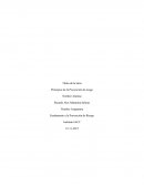 Fundamentos de la prevension