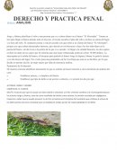 Derecho y practica penal TEMAS: ANALISIS‏