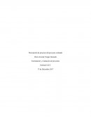 Control 5 Descripción de procesos del proyecto evaluado