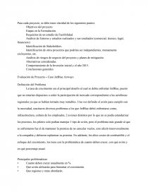 Evaluación de Proyecto – Caso JetBlue Airways. Página 9