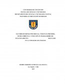 FACTORES DE RIESGO PSICOSOCIAL, VIOLENCIA PERCIBIDA, RUIDO AMBIENTAL Y POLUCIÓN EN TRABAJADORES DE ESTACIONAMIENTO REGULADO EN LA CIUDAD DE LOS ÁNGELES