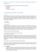 Tema 11: Contratos del mercado de valores. Mercados primarios y secundarios