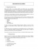 SOLDADOS DE SALAMINA