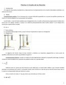 Práctica 3: Estudio de los Resortes