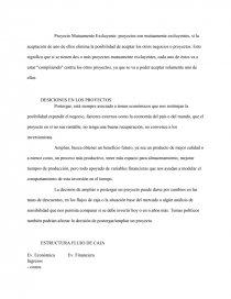 Evaluación de Proyecto – Caso JetBlue Airways. Página 17