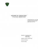 INFORME DE LABORATORIO “TITULO DEL LABORATORIO”