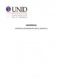 Canal de distribución Megaservicios del Valle S.A. de C.V