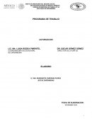 PROGRAMA DE TRABAJO AUTORIZACION