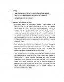 DETERMINANTES DE LA PRODUCCIÓN DEL CUY EN EL DISTRITO DE MARANGANI, PROVINCIA DE CANCHIS, DEPARTAMENTO DE CUSCO