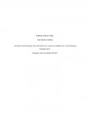 SISTEMA INTEGRADO DE GESTIÓN EN CALIDAD AMBIENTE Y SEGURIDAD