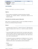 Actividades Trabajo: Actividades con números racionales