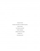 Conceptos relacionados con auditoria de gestión. Auditoria Interna de Calidad