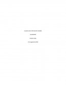 Usuarios de la info contable