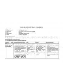 INFORME EJECUTIVO TÉCNICO PEDAGÓGICO. Página 1