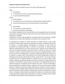 Explicación molecular del cambio de fase