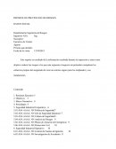 Inspecciones de Riesgos