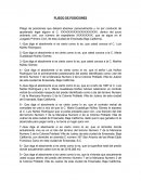 PLIEGO DE POSICIONES