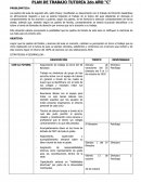 PLAN DE TRABAJO TUTORÍA 2do AÑO “C”