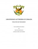 PRACTICAS SUPERVISADAS II VALENZUELA NUÑEZ JUAN LEONARDO