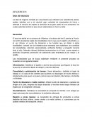 Plan de negocios una pizzería