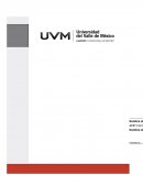 Persea americana, persea gratissima.