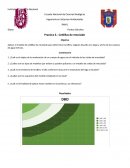 Practica 3.- Celdillas de mezclado