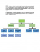 MISIÓN DIRECTOR GENERAL