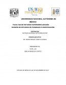 Sistema anticorrupcion DIVISIÓN DE ESTUDIOS DE POSGRADO E INVESTIGACIÓN