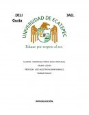 Cuale sson los Delitos contra la humanidad