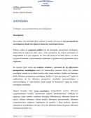 Actividades Trabajo: Las perspectivas sociológicas