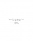 A que se debe Diagnostico organizacional de la empresa
