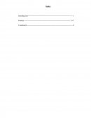 Ensayo recurso en marcha